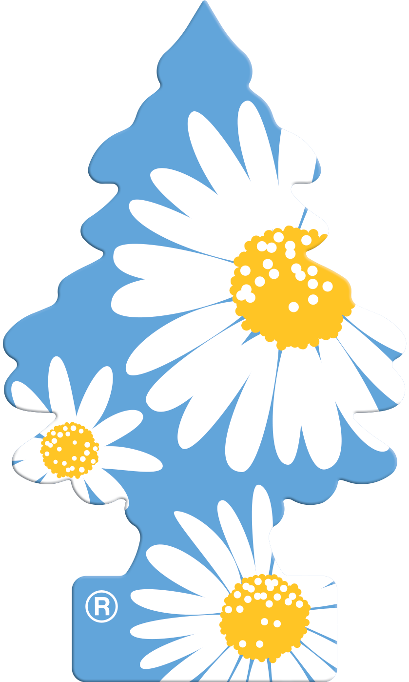 WUNDER-BAUM Daisy Flower 3-pack