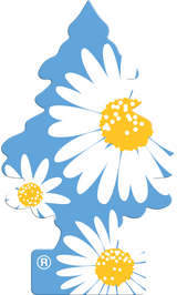 WUNDER-BAUM Daisy Flower 1-pack